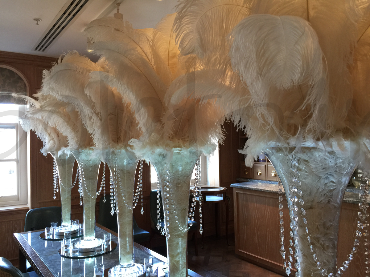 ostrich-feather-room-decoration-e