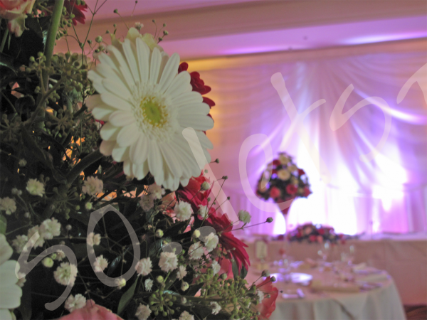 drapes-floral-decorations wedding-decoration-hire