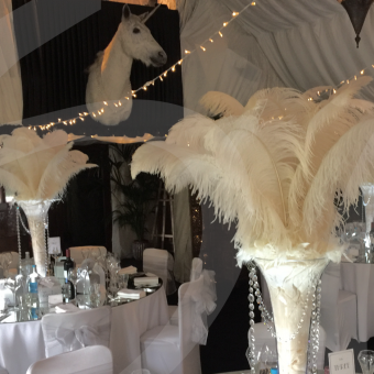 ostrich-feather-decoration