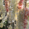 blossom-tree-collection-decoration