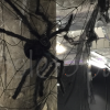 venue-styling-halloween-decor venue-styling-halloween-decor
